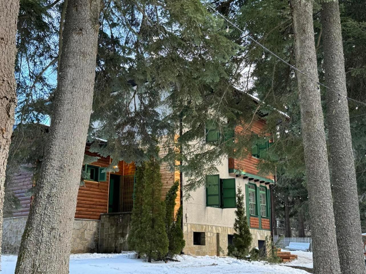 Villa Adis With Hot Pool & Jacuzzi By Bookvillabg Borovets Eksteriør billede