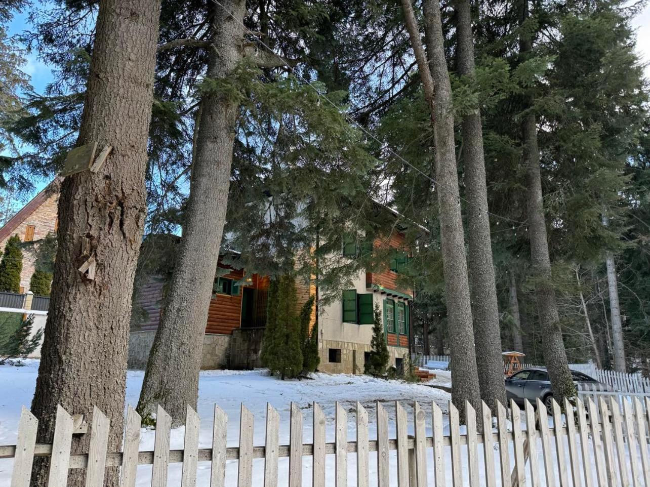 Villa Adis With Hot Pool & Jacuzzi By Bookvillabg Borovets Eksteriør billede
